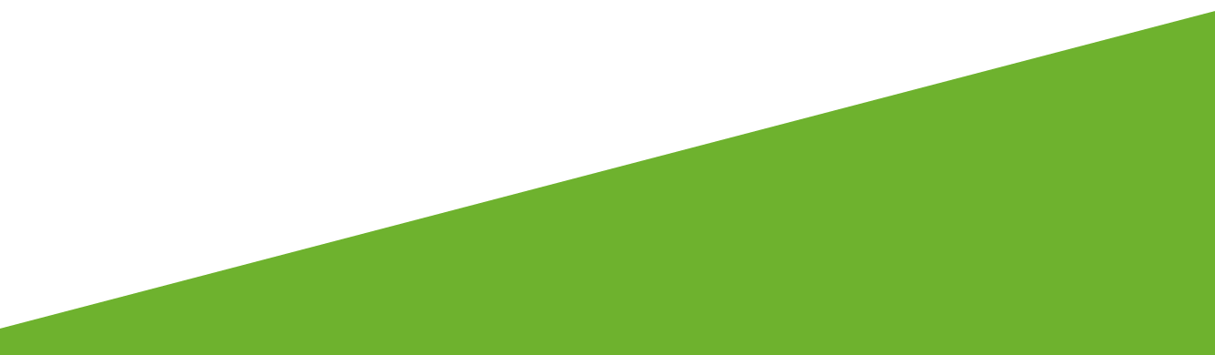 tetto verde